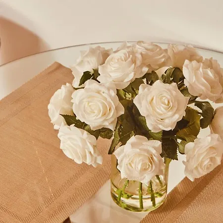 Modern Dock &free Secure Parking!